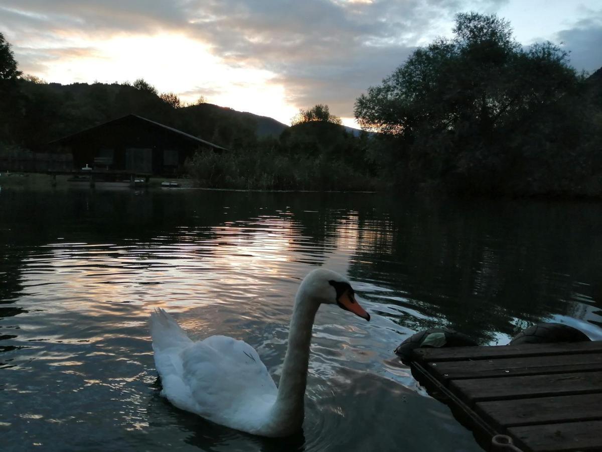 Ferienwohnungen Schiller Landskron Buitenkant foto