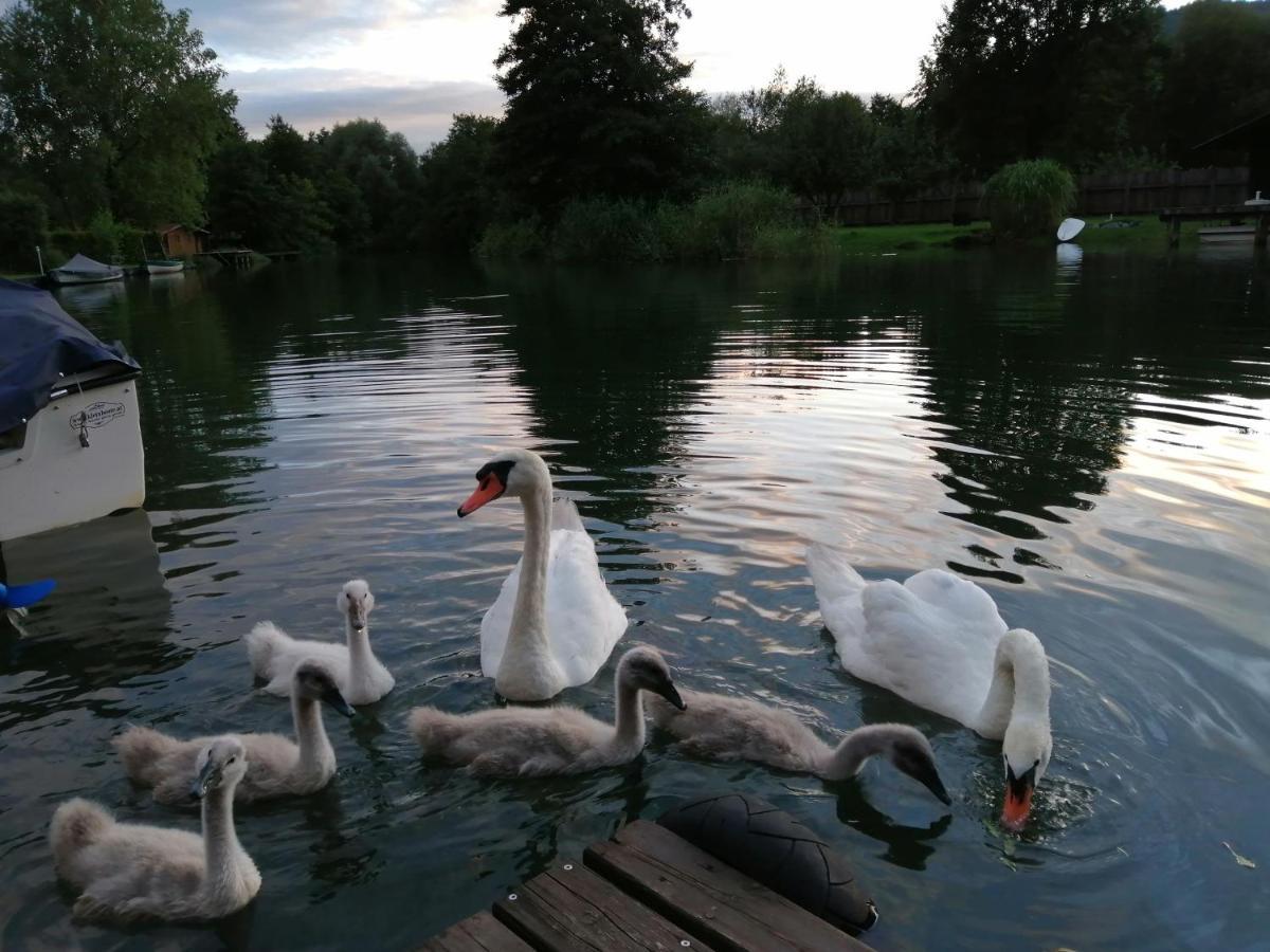 Ferienwohnungen Schiller Landskron Buitenkant foto