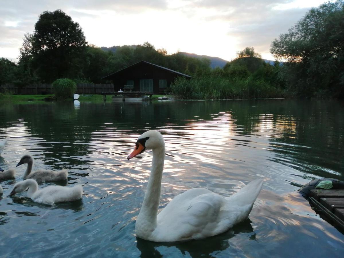 Ferienwohnungen Schiller Landskron Buitenkant foto